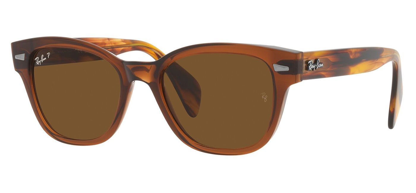 RayBan RB0880S Sunglasses Transparent Brown / Brown Polarised